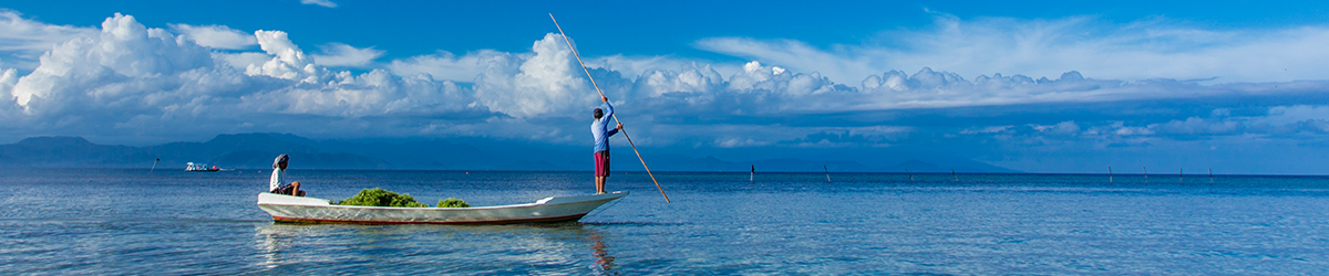 발리에서<br>길리의 모든 것