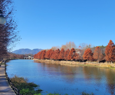 [일정]광주에서 떠나는 근교여행: 자연과 미식을 하루에~ 담양 당일치기 