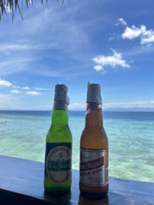 [세부] 모알보알 맛집을 소개합니다!