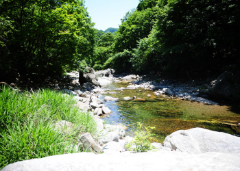 올여름, 바다보다 더 시원한 계곡 여행지 5