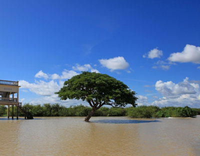 [일정]캄보디아 현지의 삶을 제대로 느껴보는 하루