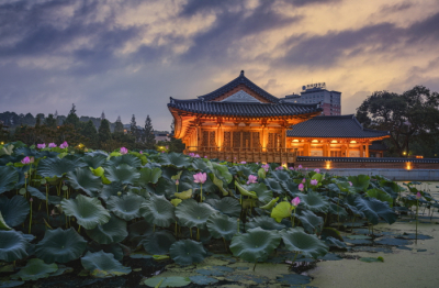 [전주]맛집부터 카페,  전주의 감성의 반나절일정