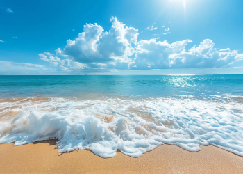 겨울에 떠나는 따뜻한 나라 찬  바람 피해, 어디로 도망가볼까?