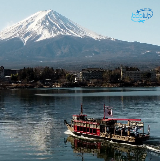 #고고데이 #일본 로컬 버스투어 🚀