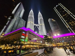 쿠알라룸푸르 프리미엄 시티 & 반딧불 & 블루티어스 단독 투어