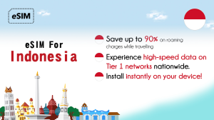 인도네시아 에어허브 eSIM
