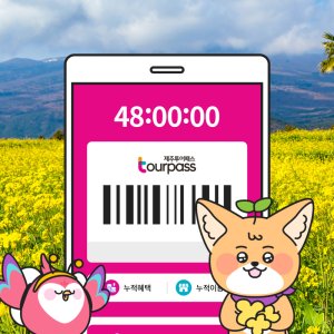 [제주] 제주투어패스
