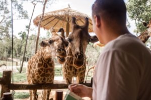 [푸꾸옥]푸꾸옥 빈펄 사파리 + 그랜드월드 투어