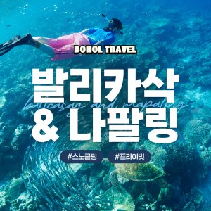 [보홀트래블] 보홀 발리카삭+나팔링 투어 (수중촬영,픽드랍,단독투어,전담가이드)