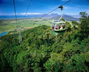 Kuranda Rainforestation Nature Park Full-Day Tour from Cairns with Skyrail Rainforest Cableway