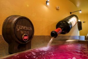 [도쿄]하코네 코와키엔 유넷산 입장권