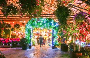  [마쓰에]포겔파크 입장권