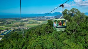 스카이레일 열대우림 케이블카 (선택 사항: 쿠란다 관광 열차 및 호텔 픽업)