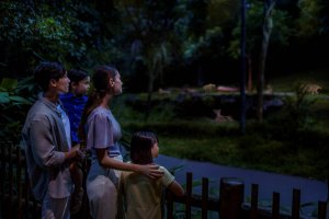  콤보: 싱가포르 나이트 사파리 + 싱가포르 동물원 입장권