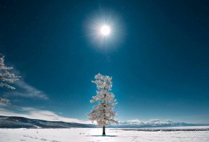 [몽골] 홉스골+차탄족 투어5박 6일 