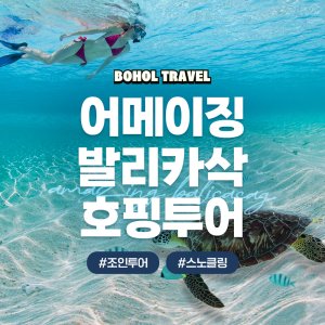 [보홀트래블] 어메이징 발리카삭 호핑투어 (조인투어,조식중식제공,투어가이드,수중촬영)