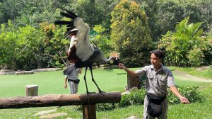 [푸꾸옥] 푸꾸옥 오빠차 북부 사파리투어