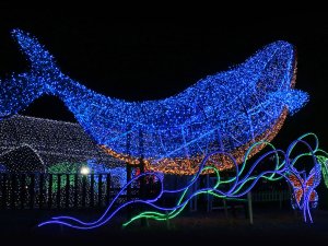 [제주] 불빛정원&인생사진관