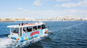 아쿠아덕 골드 코스트 시티, 리버 투어