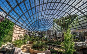  엔토피아 by 페낭 나비 농장