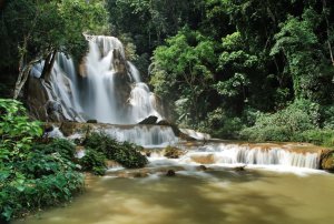 [루앙프라방] 꽝시폭포 투어