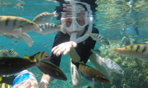 [코타키나발루] 멍알루섬 호핑투어 (렛츠고트래블)