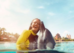 아틀란티스 아쿠아벤처 월드 두바이 - 아틀라스 빌리지의 돌고래와 바다사자 체험