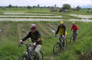 [치앙마이] 밸리 라이딩 투어