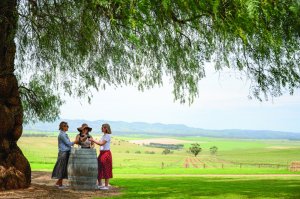 Barossa Valley Wineries and Hahndorf Tour