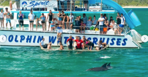 시드니 포트스테판 돌핀 디스커버리 크루즈 