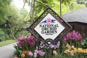  싱가포르 내셔널 오키드 가든 (유네스코 지정 세계 문화 유산)