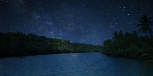 [보홀트래블] 보홀 반딧불 투어 (단독투어, 깔끔한 차량이용)