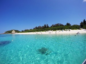 [오키나와](나하 토마리항구 출발) 고속선으로 출발 토카시키섬당일해수욕투어 (런치포함)