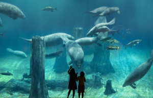 [싱가포르] 리버 원더스 & 리버퀘스트 탑승권 (구. 리버 사파리)