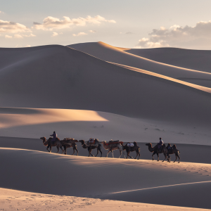 [몽골] 고비사막 THE자연 코스 6박7일 