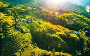 (한국어가이드) 사파 1박 2일 단독 투어 / 하노이 출발