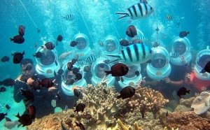 [나트랑]스킨스쿠버 & 씨워커 투어