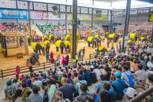 (한국어가이드) 파타야 시티 체크아웃 단독 투어 & 공항 샌딩