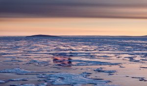 [몽골] 중부+테를지 투어 4박5일