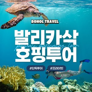 [보홀트래블] 보홀 발리카삭 호핑투어 (수중촬영,픽드랍,단독투어,전담가이드)