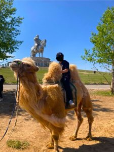 [몽골] 초보자도 걱정 없는 2박3일 사막+테를지 알짜코스 