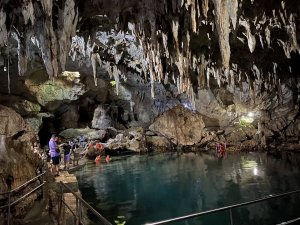 [보홀트래블] 나팔링+히낙다난 투어 (수중촬영,픽드랍,단독투어,전담가이드)