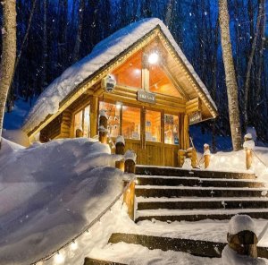 [🍤준페이매장식사🍤][매일출발♥️] 북해도  비에이 후라노 삿포로 버스투어 [라쿠투어]