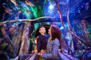 씨라이프 아쿠아리움 뉴저지 티켓 