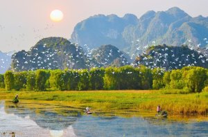 (한국어가이드) 닌빈 항무아 + 빅동 사원 + 뚱냠 단독 투어 / 하노이 출발 