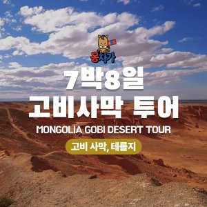[몽골]7박8일 고비사막 투어