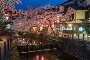 [프라이빗 1박2일 온천 투어]효고 키노사키/히메지성/아마노하시다테(오사카 코베 쿄토출발)