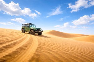 (한국어가이드) 판랑 사막 지프 차량 + 양 농장 단독 투어 / 나트랑 출발