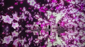  [즉시확정] 도쿄 팀랩 플래닛 입장권 (토요스 지점) (전시회&아트뮤지엄)