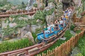  (짧은 대기시간, 빠른 이용) 홍콩 디즈니랜드 프리미어 액세스 티켓